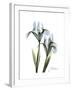 Blue Iris Portrait-Albert Koetsier-Framed Premium Giclee Print