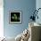 Blue Iris-Magda Indigo-Framed Photographic Print displayed on a wall