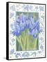 Blue Iris-Jennifer Abbott-Framed Stretched Canvas