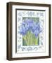 Blue Iris-Jennifer Abbott-Framed Giclee Print