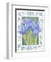 Blue Iris-Jennifer Abbott-Framed Giclee Print