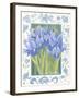 Blue Iris-Jennifer Abbott-Framed Giclee Print