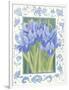 Blue Iris-Jennifer Abbott-Framed Giclee Print