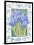 Blue Iris-Jennifer Abbott-Framed Giclee Print