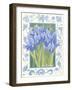 Blue Iris-Jennifer Abbott-Framed Giclee Print