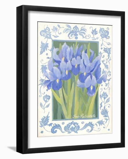 Blue Iris-Jennifer Abbott-Framed Giclee Print