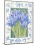 Blue Iris-Jennifer Abbott-Mounted Giclee Print