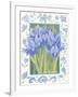 Blue Iris-Jennifer Abbott-Framed Giclee Print