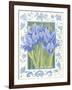 Blue Iris-Jennifer Abbott-Framed Giclee Print