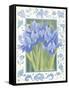 Blue Iris-Jennifer Abbott-Framed Stretched Canvas