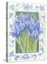 Blue Iris-Jennifer Abbott-Stretched Canvas
