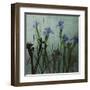 Blue Irises I-Patricia Pinto-Framed Art Print