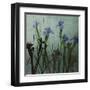Blue Irises I-Patricia Pinto-Framed Art Print