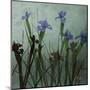 Blue Irises I-Patricia Pinto-Mounted Art Print