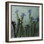 Blue Irises I-Patricia Pinto-Framed Art Print