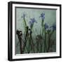 Blue Irises I-Patricia Pinto-Framed Art Print