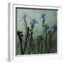 Blue Irises I-Patricia Pinto-Framed Art Print