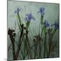 Blue Irises I-Patricia Pinto-Mounted Art Print