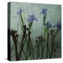 Blue Irises I-Patricia Pinto-Stretched Canvas