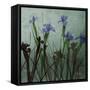 Blue Irises I-Patricia Pinto-Framed Stretched Canvas