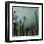 Blue Irises II-Patricia Pinto-Framed Art Print