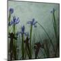 Blue Irises II-Patricia Pinto-Mounted Art Print