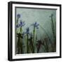 Blue Irises II-Patricia Pinto-Framed Art Print