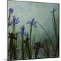 Blue Irises II-Patricia Pinto-Mounted Art Print