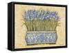 Blue Irises-Eva Misa-Framed Stretched Canvas