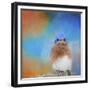 Blue Is Beautiful-Jai Johnson-Framed Giclee Print