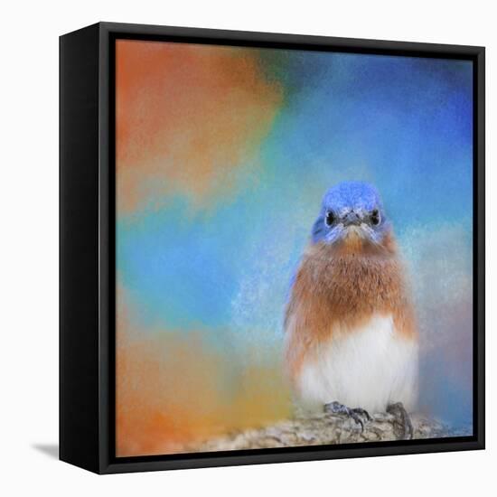 Blue Is Beautiful-Jai Johnson-Framed Stretched Canvas