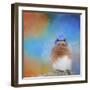 Blue Is Beautiful-Jai Johnson-Framed Giclee Print