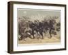 Blue Jackets to the Front-William Heysham Overend-Framed Giclee Print