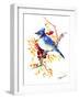 Blue Jay 12-Suren Nersisyan-Framed Art Print