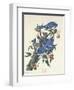 Blue Jay, 1831-John James Audubon-Framed Giclee Print