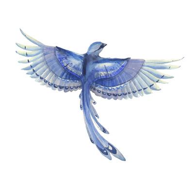 flying blue jay