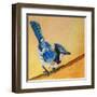 Blue Jay Blessing-Elizabeth St. Hilaire-Framed Art Print