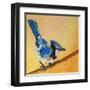 Blue Jay Blessing-Elizabeth St. Hilaire-Framed Art Print