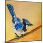 Blue Jay Blessing-Elizabeth St. Hilaire-Mounted Art Print