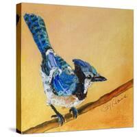 Blue Jay Blessing-Elizabeth St. Hilaire-Stretched Canvas