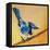Blue Jay Blessing-Elizabeth St. Hilaire-Framed Stretched Canvas