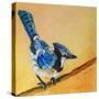 Blue Jay Blessing-Elizabeth St. Hilaire-Stretched Canvas