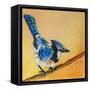 Blue Jay Blessing-Elizabeth St. Hilaire-Framed Stretched Canvas