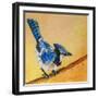 Blue Jay Blessing-Elizabeth St. Hilaire-Framed Art Print