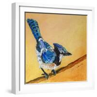 Blue Jay Blessing-Elizabeth St. Hilaire-Framed Art Print