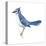 Blue Jay (Cyanocitta Cristata), Birds-Encyclopaedia Britannica-Stretched Canvas