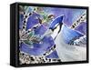 Blue Jay Way-Lauren Moss-Framed Stretched Canvas