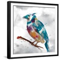 Blue Jay-Stephane Fontaine-Framed Giclee Print