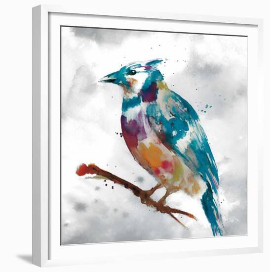 Blue Jay-Stephane Fontaine-Framed Giclee Print