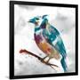 Blue Jay-Stephane Fontaine-Framed Giclee Print